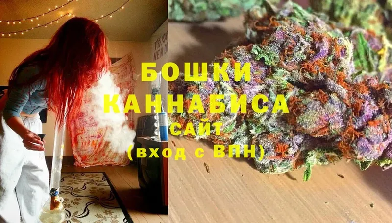 Бошки Шишки OG Kush  купить наркотик  Михайлов 